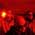 Front 242